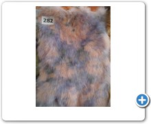 collection 10 Stampe fantasia 282